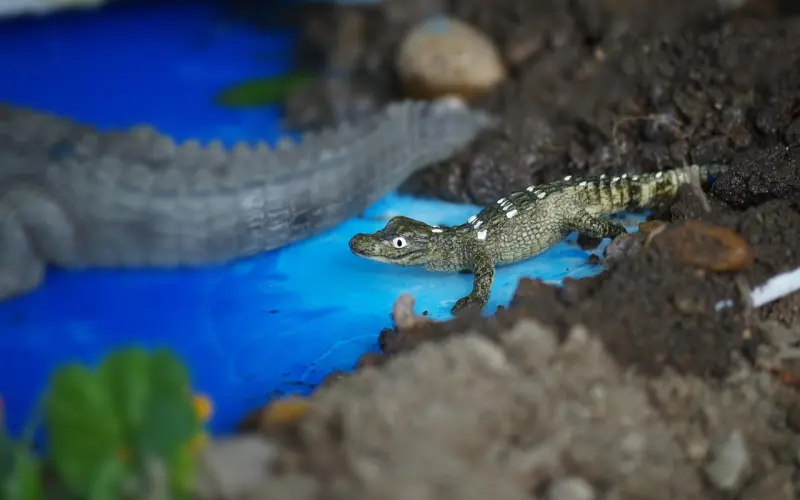 男人的这个举动，暴露了他对你的认可度