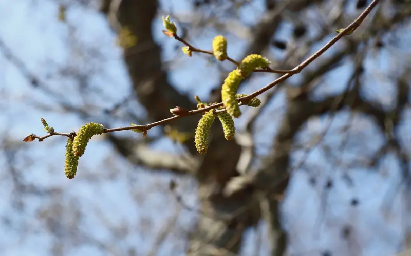 这个男生这么丑，还没钱，为什么还有女朋友？