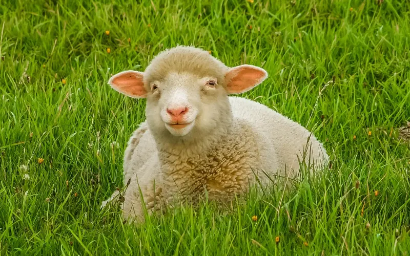 我这个兄弟相亲失败了32次，原来是因为这个细节没做好