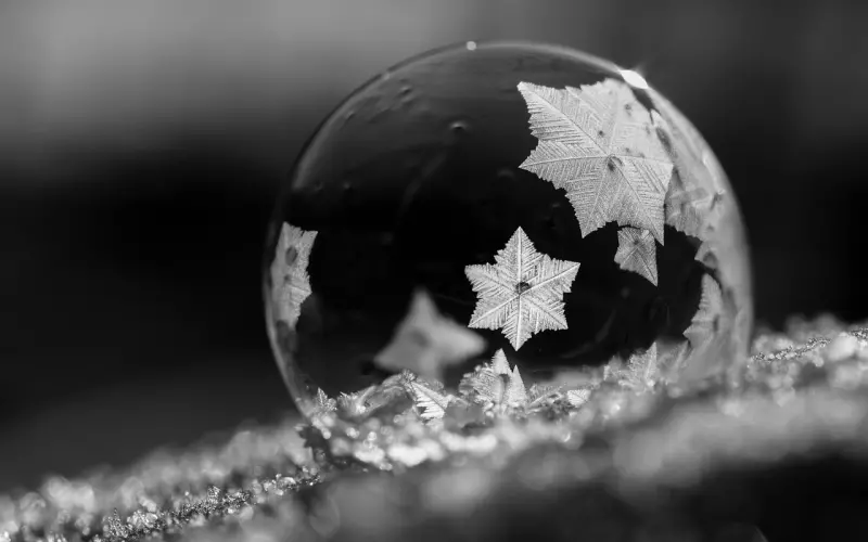 很会泡妞的男生都是这样跟女孩子聊天的！