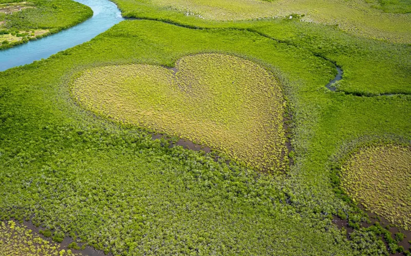 “出轨”女友这样挽回我的心，最后的真相跪了
