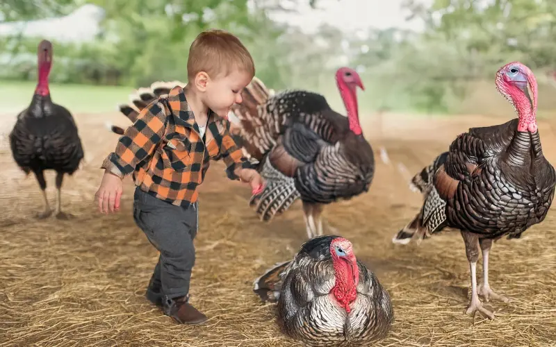 这才是真的爱你