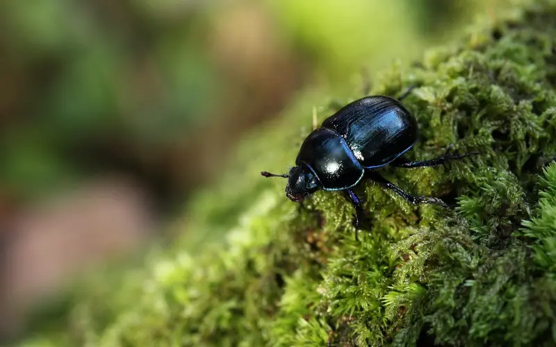 这种女人，嫁给任何男人都会幸福
