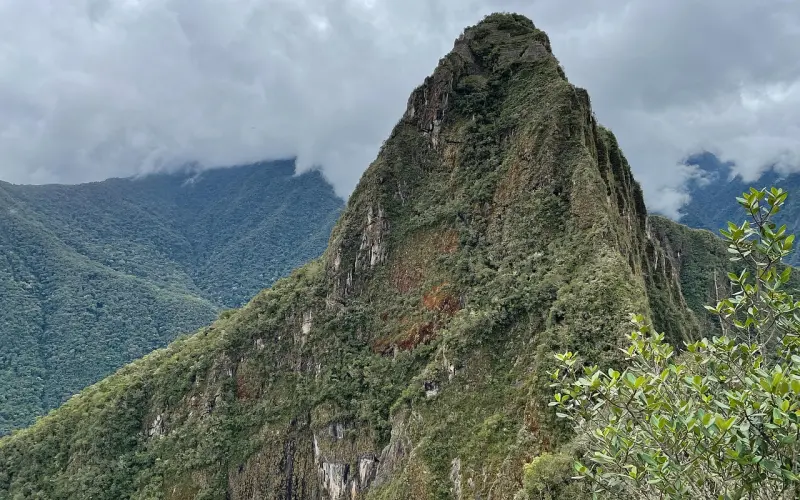 这个住在马云楼下的男人号称自己比王思聪还会撩妹