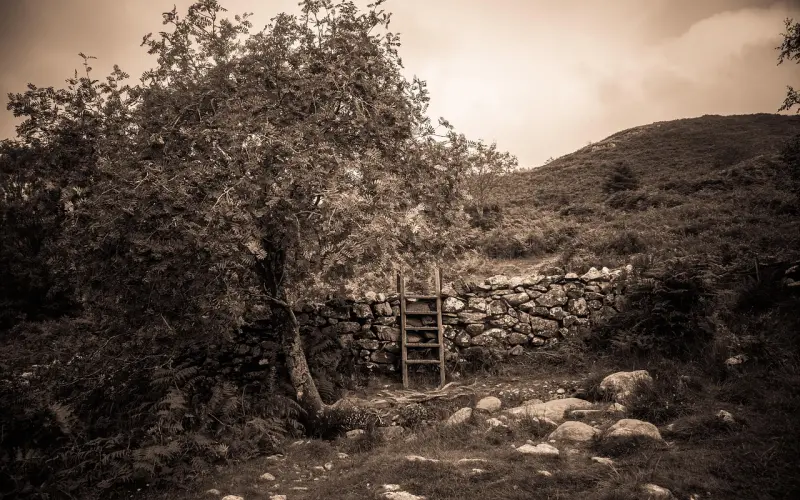 这段话，好舒心！说到了心坎里