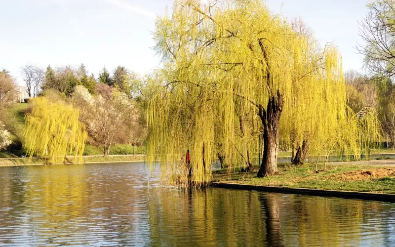 此人已经被全香港男人列入黑名单（连载二）