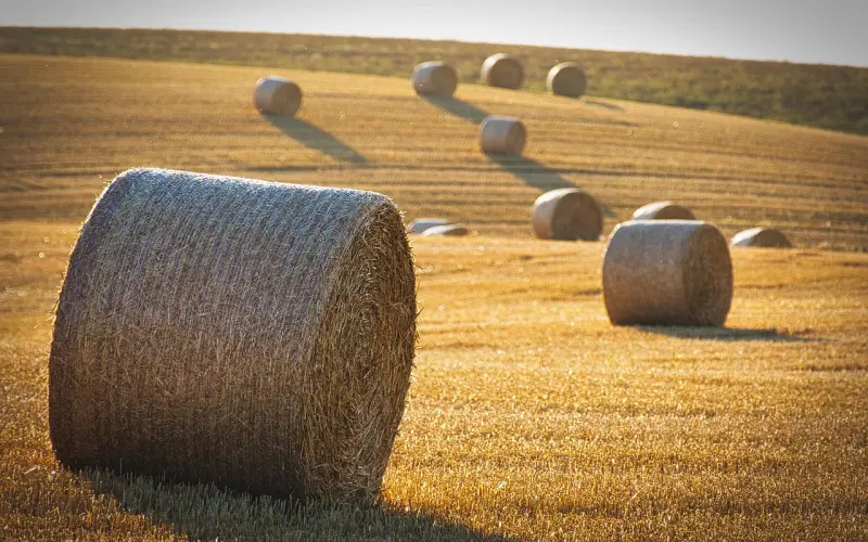这套法则，治好你的情绪焦虑
