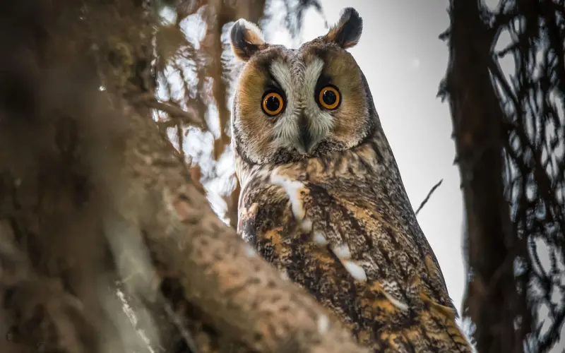 世上的男女交往，最忌这个字