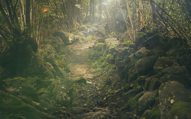 三个女生挽回前男友的绝招，还不快学起来