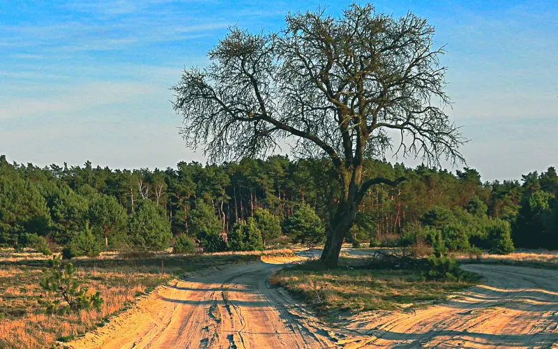 挽回爱人的三个实用方法