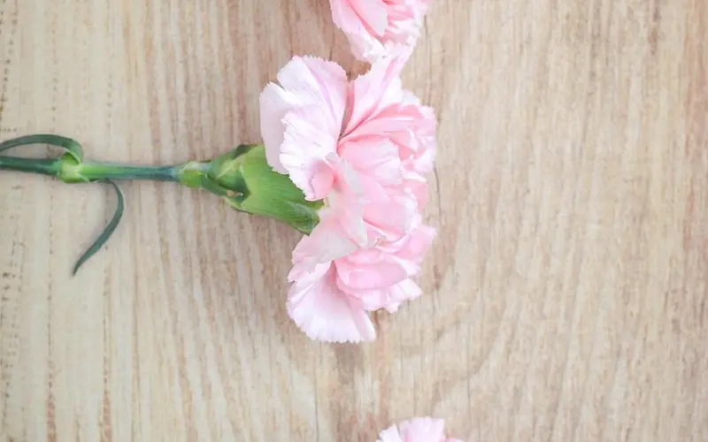 精致的女人，必须坚持的三件事