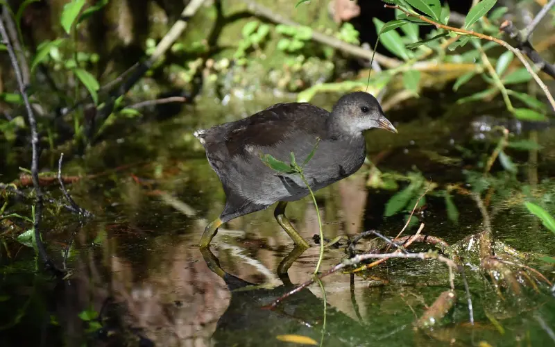 想找到真爱还需要懂的三件事