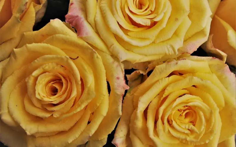 三招帮你解读何为废物女友