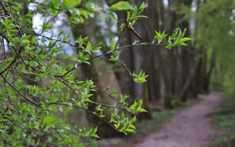 三个方法让女生不再对你忽冷忽热