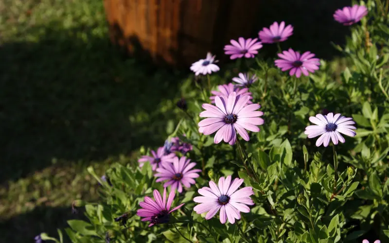 时间让我明白，什么最重要！时间会冲淡一切，却也可以留下最珍贵的！