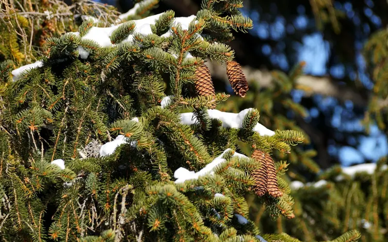 冷爱支招：相处时如何给人好印象？