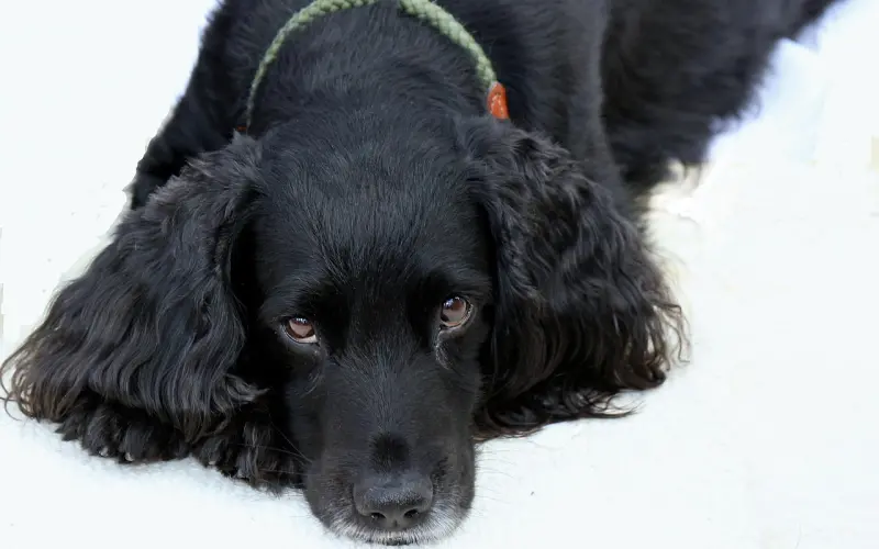 冷爱支招：挑男朋友，你该观察什么？