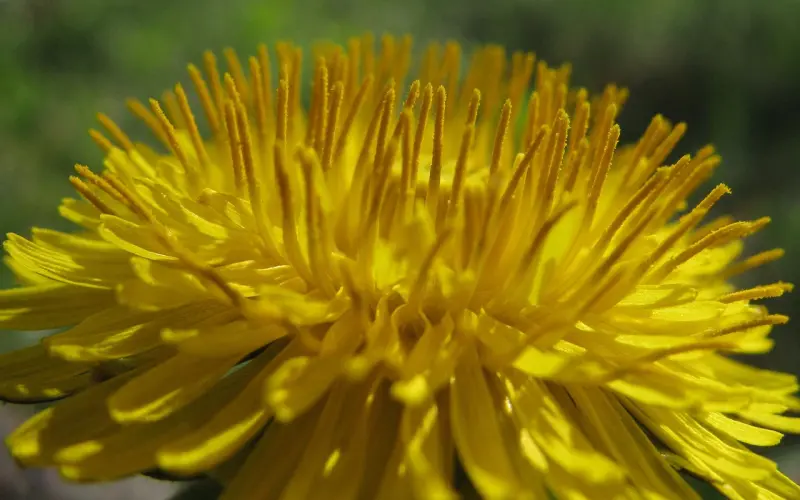 分手挽回女朋友技巧：给你有用的攻略