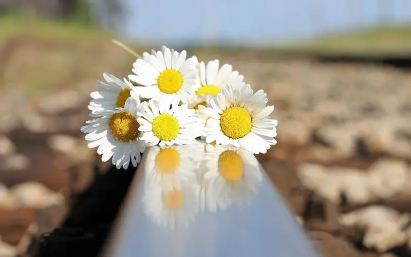 失恋了快速挽回对方的技巧