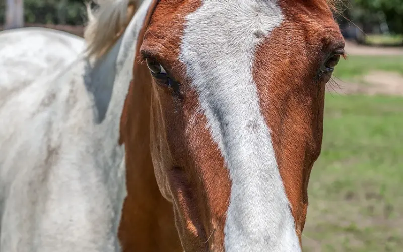 挽救婚姻的秘诀：怎么挽救坚决要离婚的丈夫