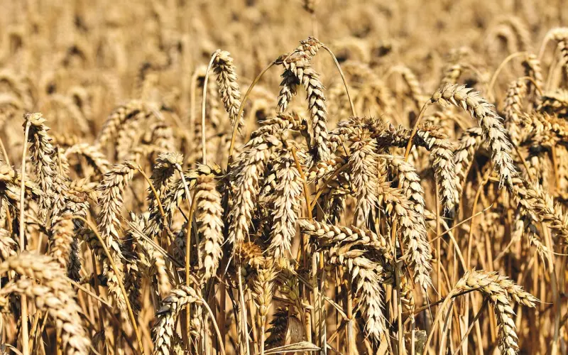 挽回婚姻技巧之：教你如何做好防范小三的工作