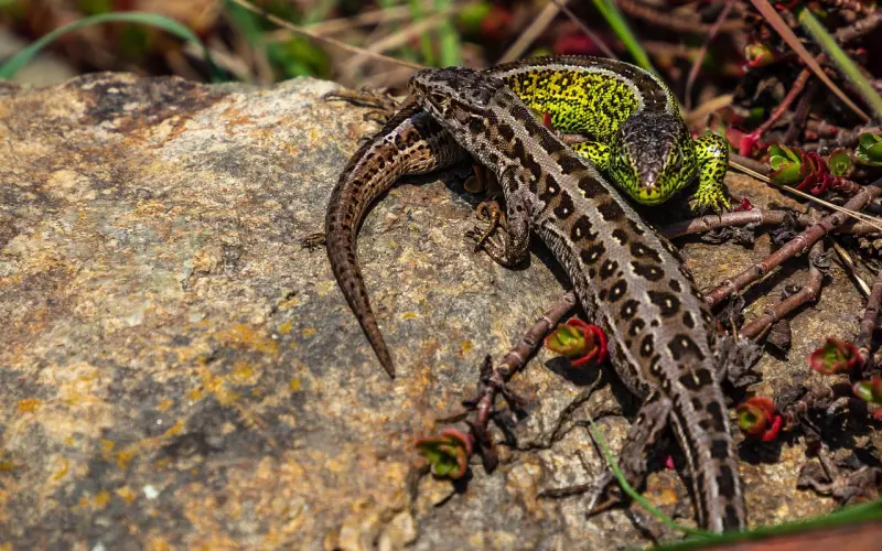 挽回秘籍：女朋友移情别恋了我该怎么去挽回她