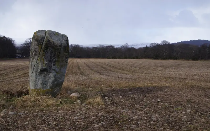 挽回爱情秘籍：如何挽回变心女友