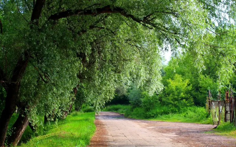 挽回老公技巧：怎么挽回老公的心，挽救婚姻方法