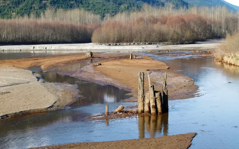 接纳父母就是接纳自己