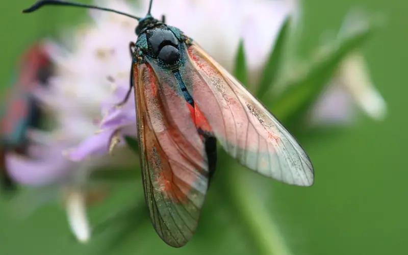 做一个让男人欲罢不能的女人，你需要做到这六点