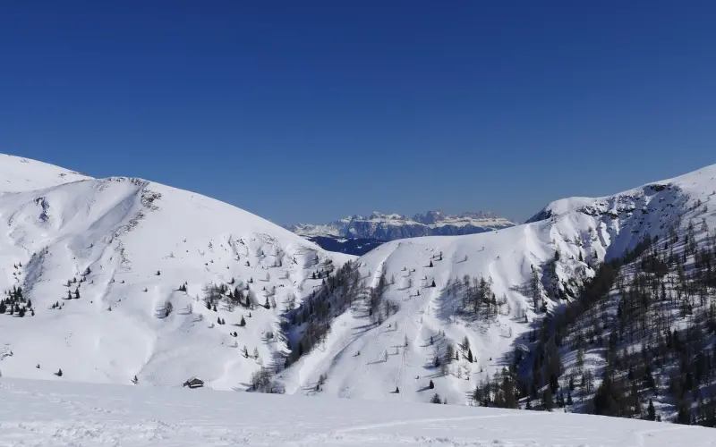 说实话！我们之间的感情是不是就值这2000块钱？