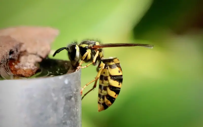 致男人：越深爱一个女人，越要这样和她“断联