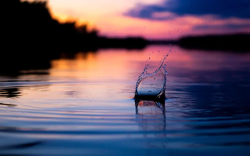 致自己：简单不会错，善良不惹祸