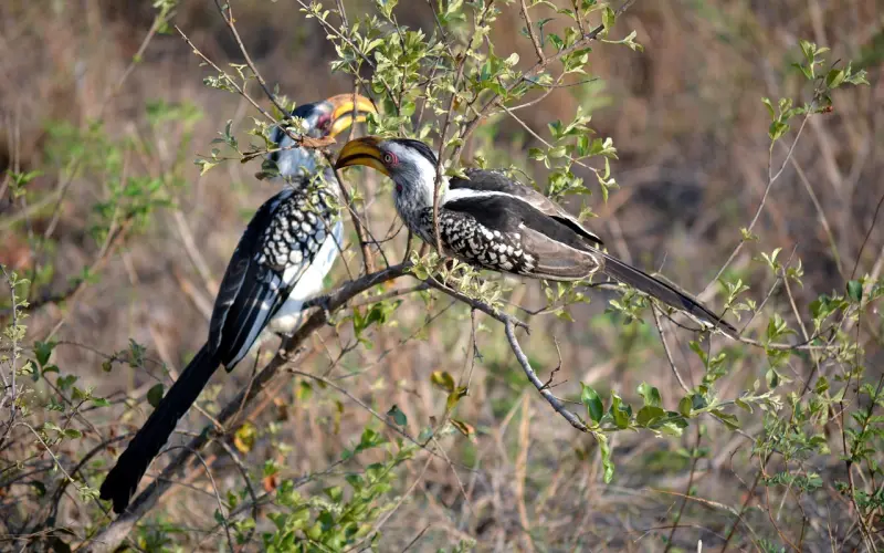 迅速成为高逼格男神，只需做到这两点！