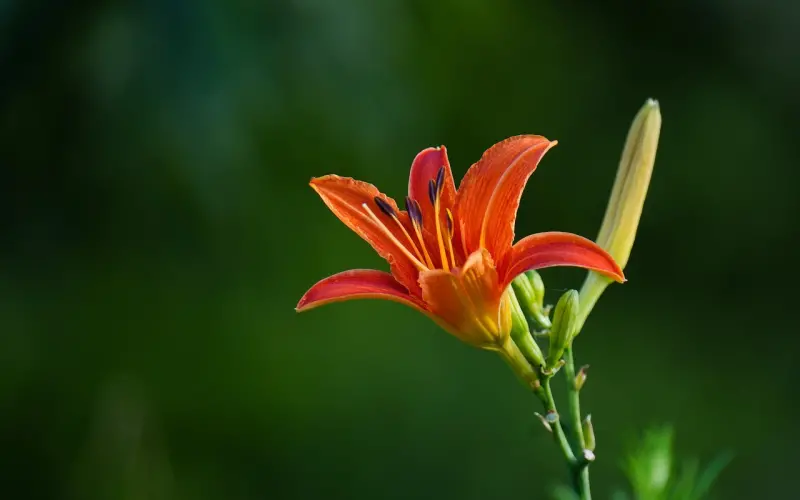 挽回，你需要给对方一个回来的理由