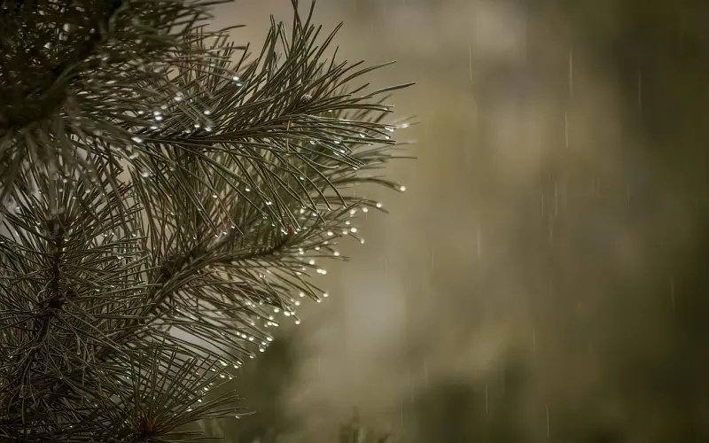 挽回爱情，该如何让对方重新相信你？