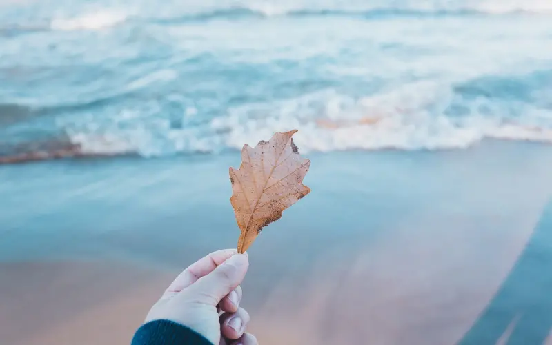 毁掉一段关系，拼命付出就够了