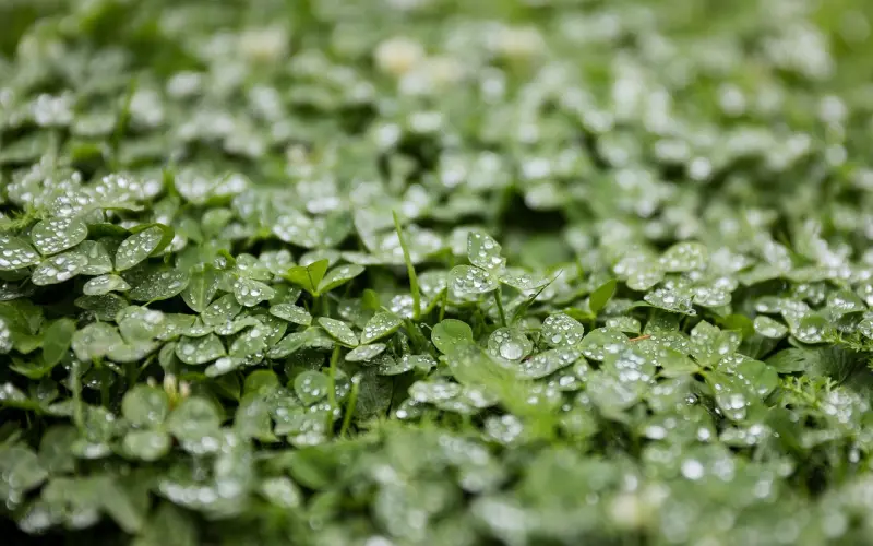 挽回曾经的她，只需要这三招