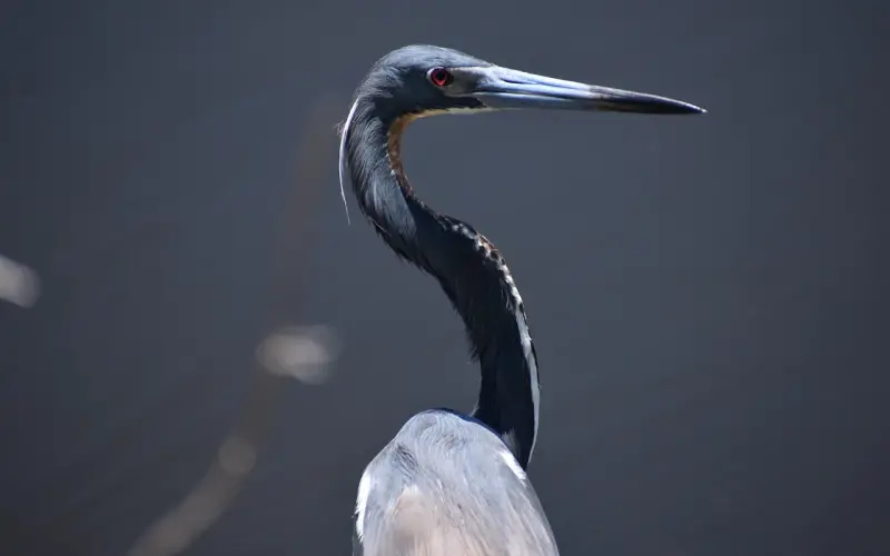 挽回爱情首先要走出分手后的痛苦