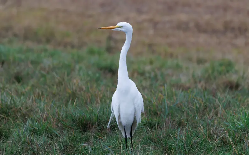 挽回爱情首先要走出分手后的痛苦