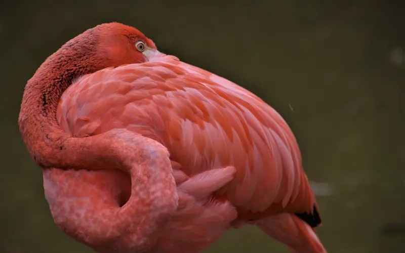 挽回爱情，你首先需要知道这两点？