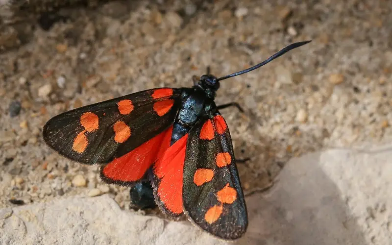 挽回婚姻，最忌讳这6点