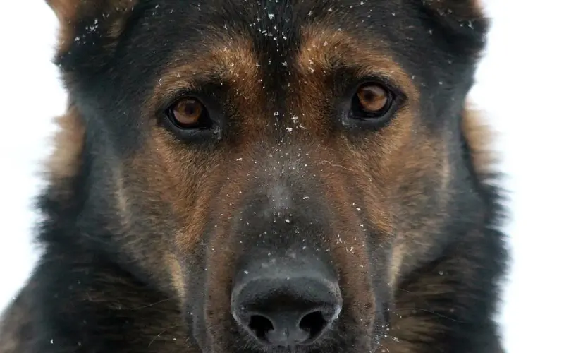 敬好友列表的嘴炮王：怼，今天骂的就是你！