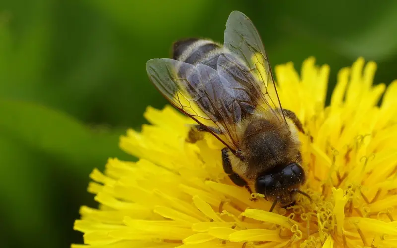 挽回女友：女友一直拿我和她的闺蜜比较，该怎么办？