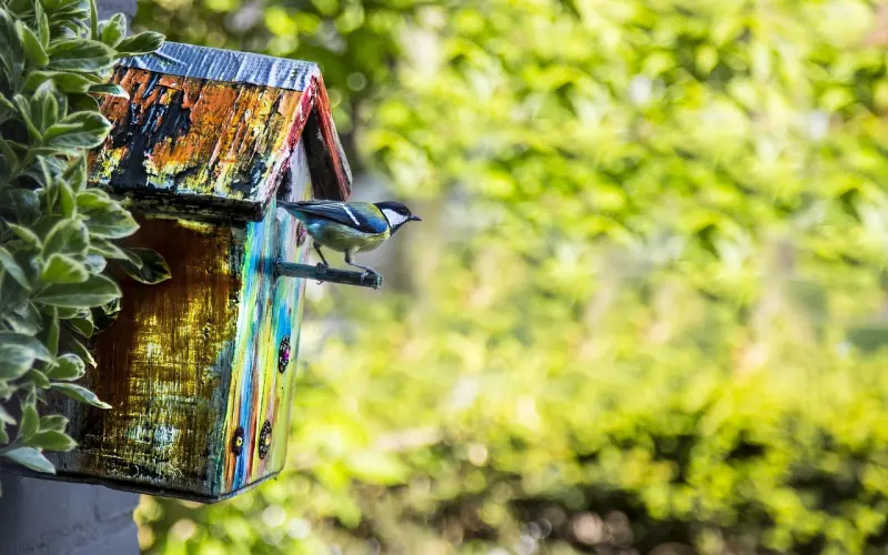 挽回女友：和女友没有什么共同话题，现在真的感觉好累