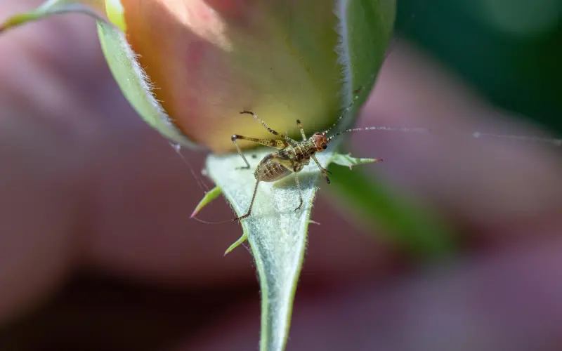 挽回分手爱人，你得这么做！