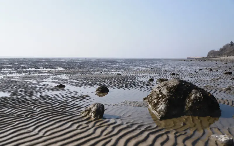 分手三个月挽回挚爱前任，除了真心还需要这些！