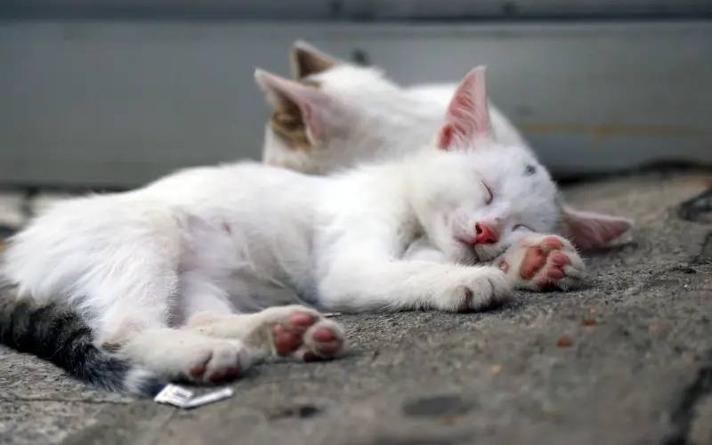 挽回男朋友，你可以试试以下几招