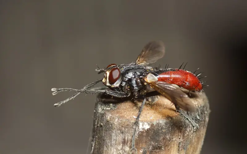挽回前男友，为什么要自我提升