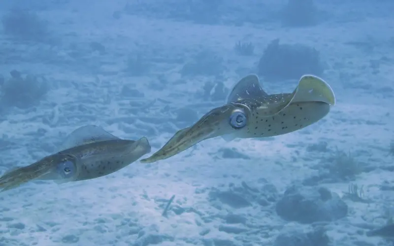 挽回前任,如何挽回感情基础不深的爱情